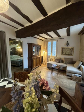 Henri & Henriette - Vannes 7 pers Centre historique